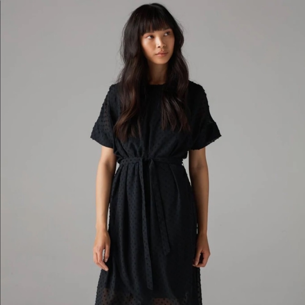 VETTA Dress (NWT)